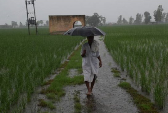 IMD ने राजस्थान, मध्य प्रदेश, ओडिशा समेत कई राज्यों में अगले कुछ दिनों तक भारी से बहुत भारी बारिश का अलर्ट जारी किया है।