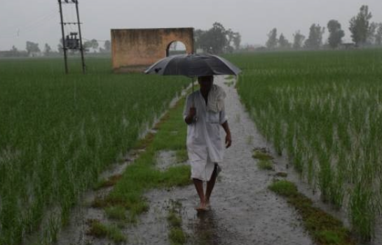 IMD ने राजस्थान, मध्य प्रदेश, ओडिशा समेत कई राज्यों में अगले कुछ दिनों तक भारी से बहुत भारी बारिश का अलर्ट जारी किया है।
