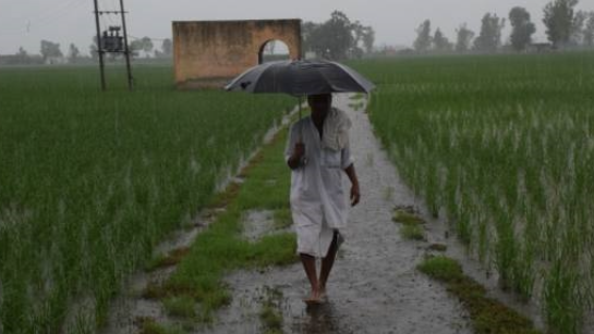 IMD ने राजस्थान, मध्य प्रदेश, ओडिशा समेत कई राज्यों में अगले कुछ दिनों तक भारी से बहुत भारी बारिश का अलर्ट जारी किया है।