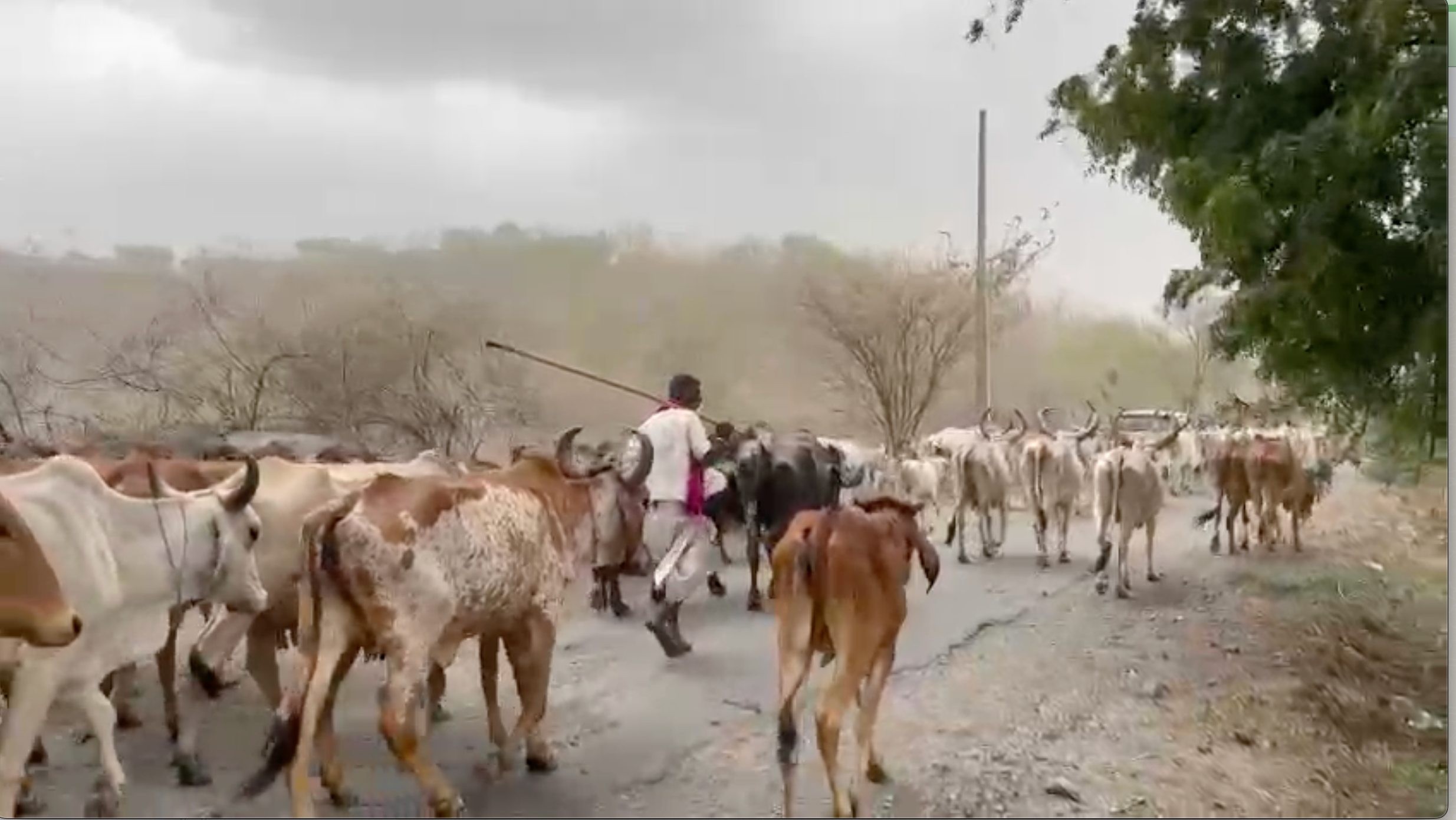 UP Weather News: यूपी के इन जिलों में आंधी, बारिश का अलर्ट, जानिए अपने जिले का हाल