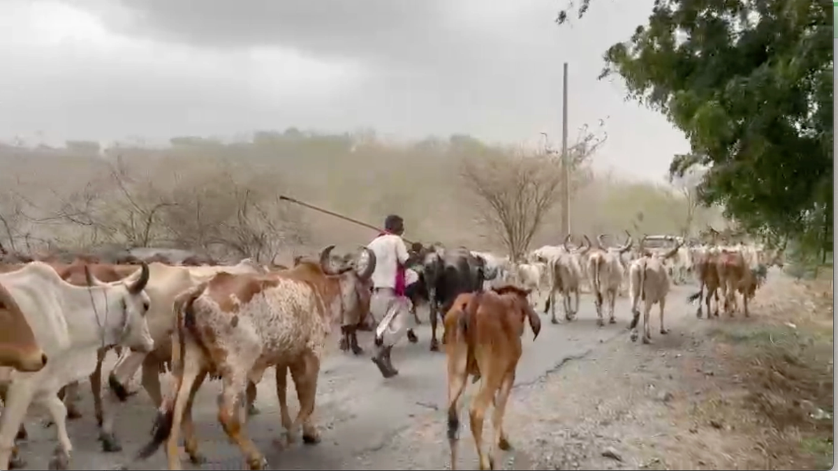 UP Weather News: यूपी के इन जिलों में आंधी, बारिश का अलर्ट, जानिए अपने जिले का हाल