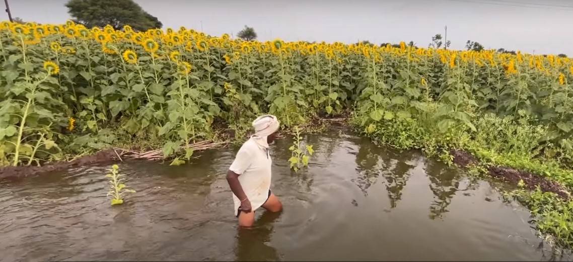 खेत में जलभराव की समस्या के लिए बेहतरीन समाधान