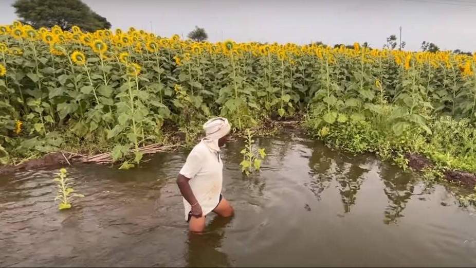 खेत में जलभराव की समस्या के लिए बेहतरीन समाधान