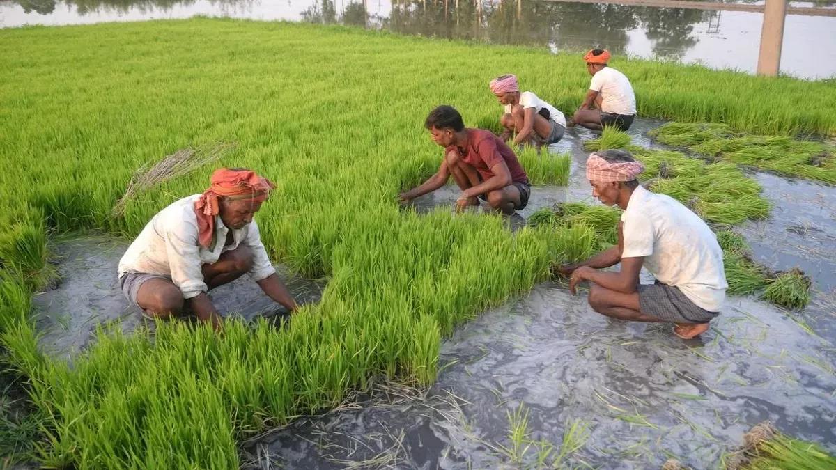 समय से पहले मानसून की बारिश का भारत की कृषि और अर्थव्यवस्था पर क्या असर होगा?