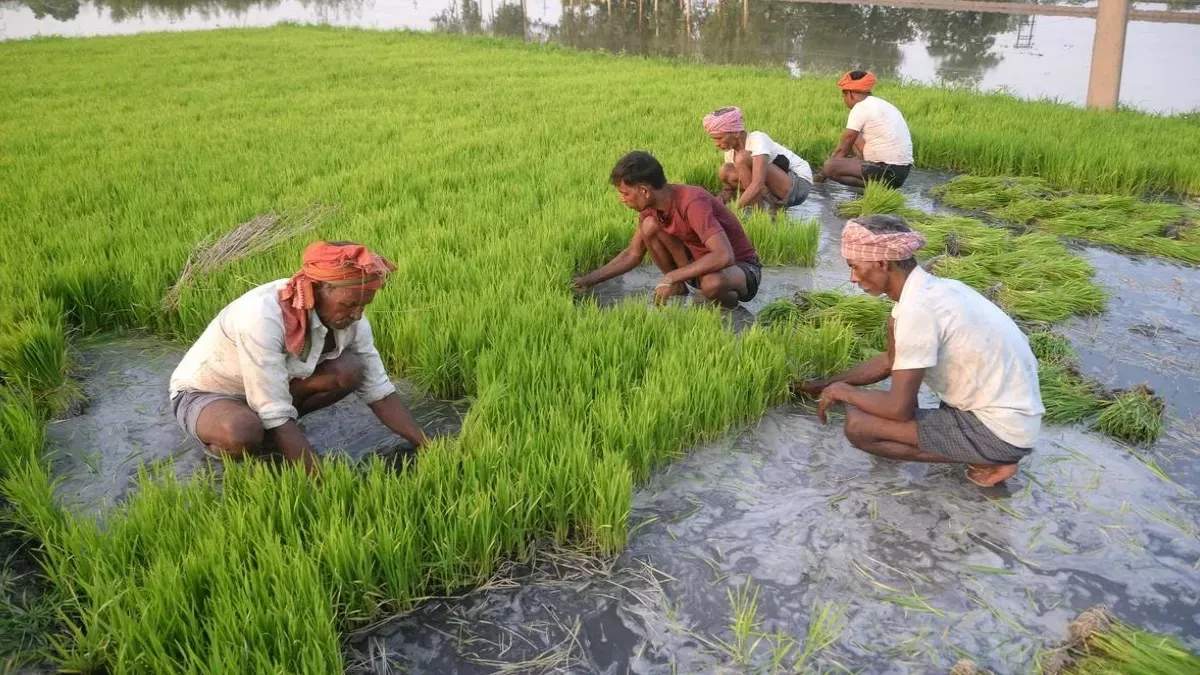 समय से पहले मानसून की बारिश का भारत की कृषि और अर्थव्यवस्था पर क्या असर होगा?