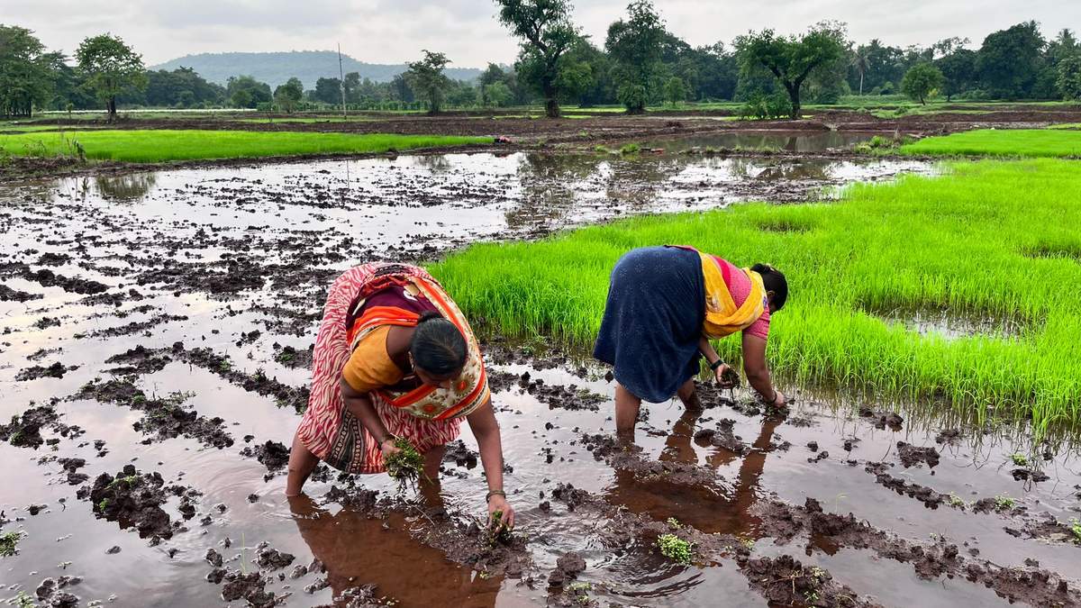 प्रदेश में किसानों के लिये बनेगा किसान कार्ड, योजनाओं का लाभ लेना होगा और भी आसान