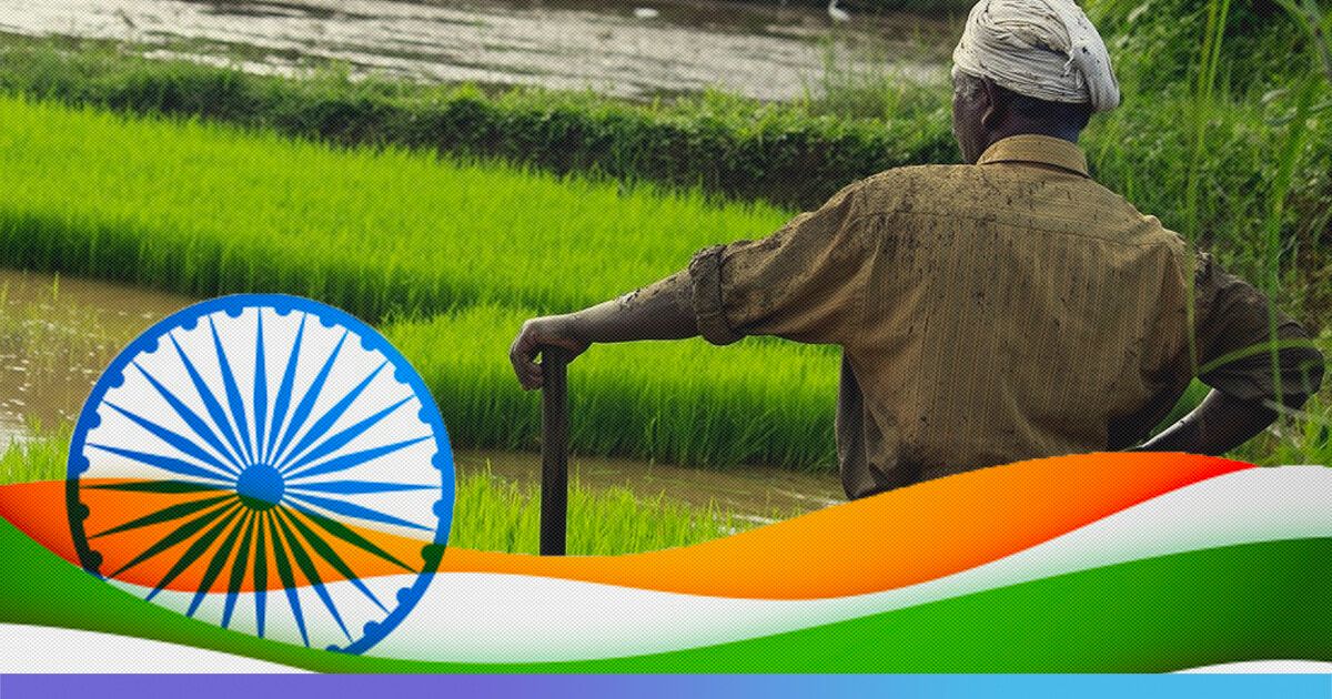 आजादी के 77 साल: कभी पेट पालने की चुनौती थी, भारत आज कृष‍ि उत्‍पाद न‍िर्यात कर रहा, आख‍िर कहानी बदली कैसे?