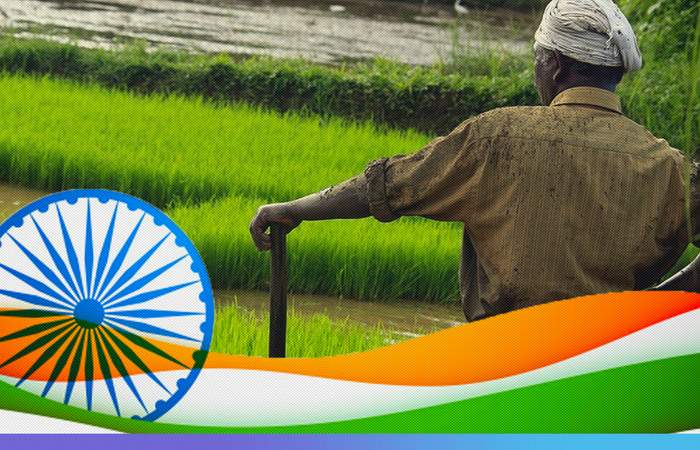आजादी के 77 साल: कभी पेट पालने की चुनौती थी, भारत आज कृषि उत्पाद निर्यात कर रहा, आखिर कहानी बदली कैसे?