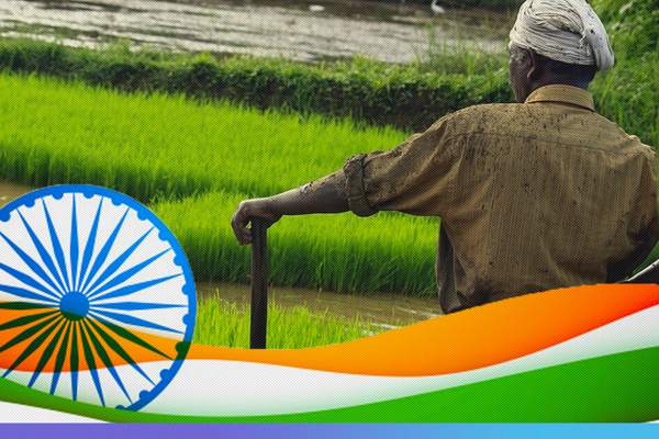 आजादी के 77 साल: कभी पेट पालने की चुनौती थी, भारत आज कृषि उत्पाद निर्यात कर रहा, आखिर कहानी बदली कैसे?
