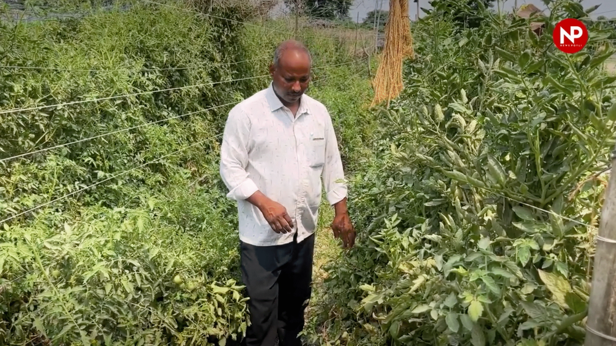 जलवायु परिवर्तन से किसान कैसे होंगे सुरक्षित? सरकार का जवाब