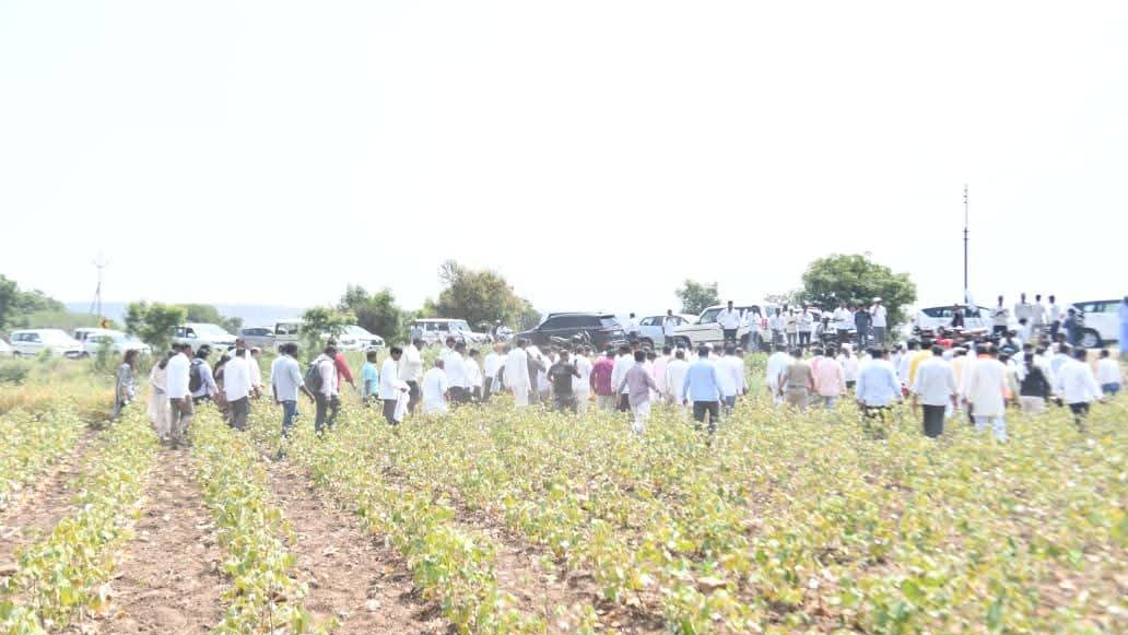 मराठवाड़ा में सूखे की मार: सोयाबीन बर्बाद, गन्ना सूखा, किसान परेशान