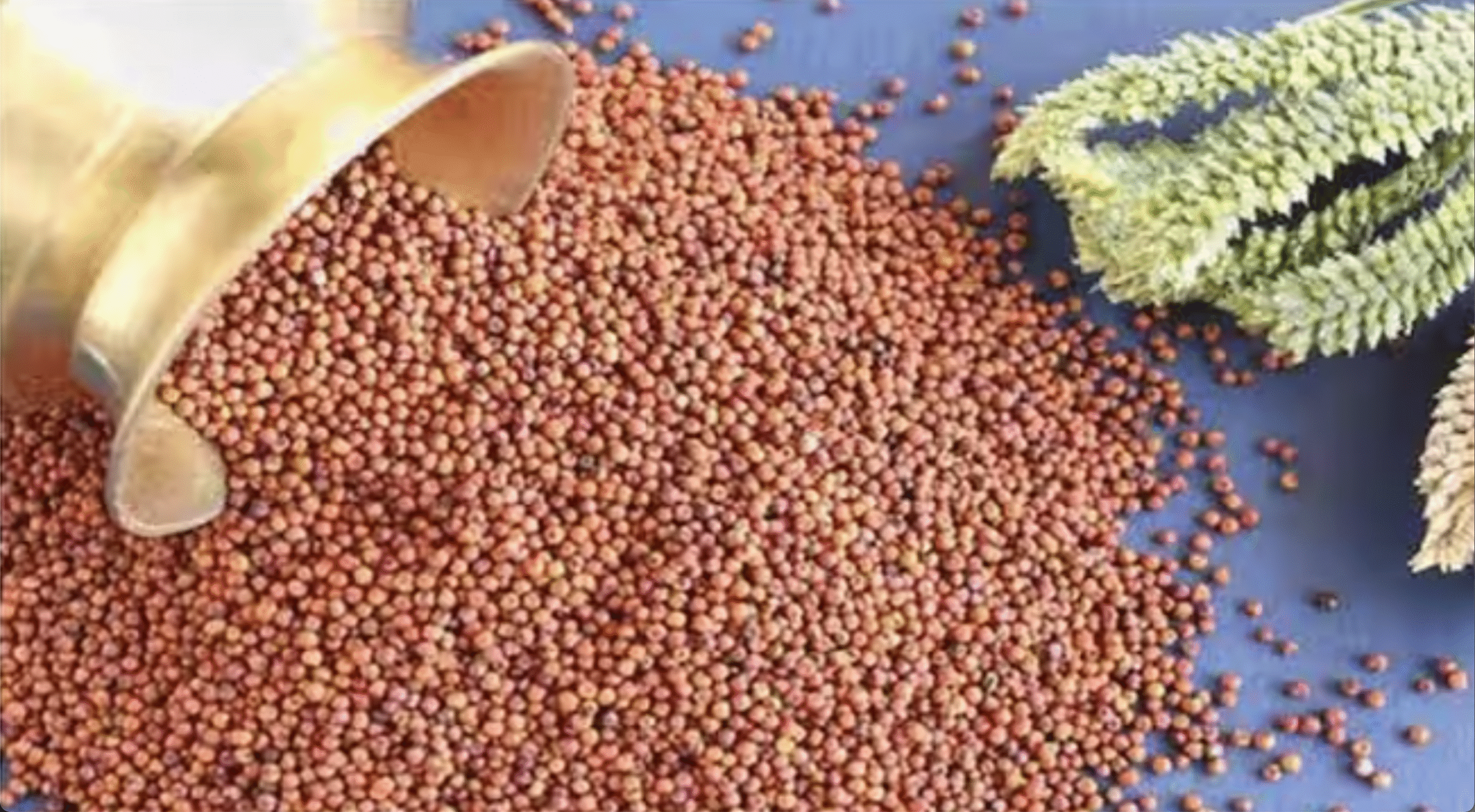 यूपी सरकार दे रही है मोटे अनाज से जुड़े बिजनेस पर बड़ा अनुदान