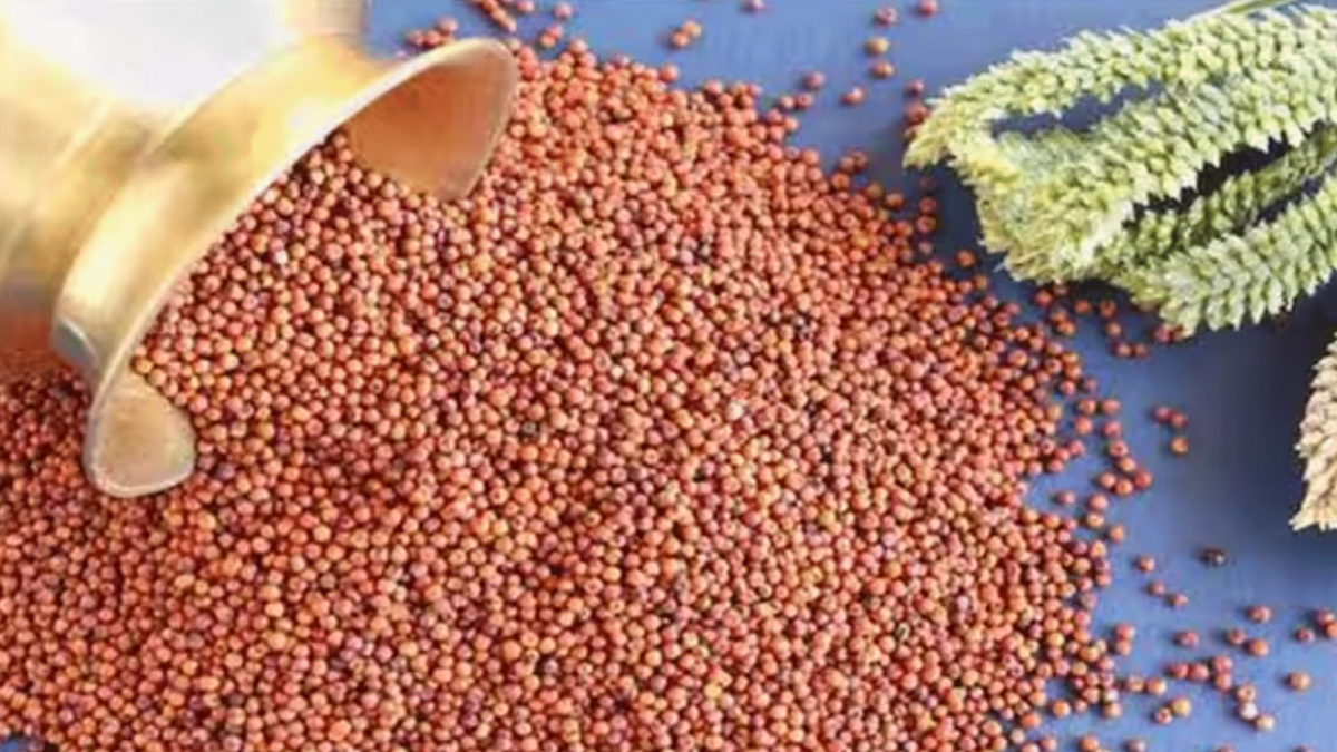 यूपी सरकार दे रही है मोटे अनाज से जुड़े बिजनेस पर बड़ा अनुदान