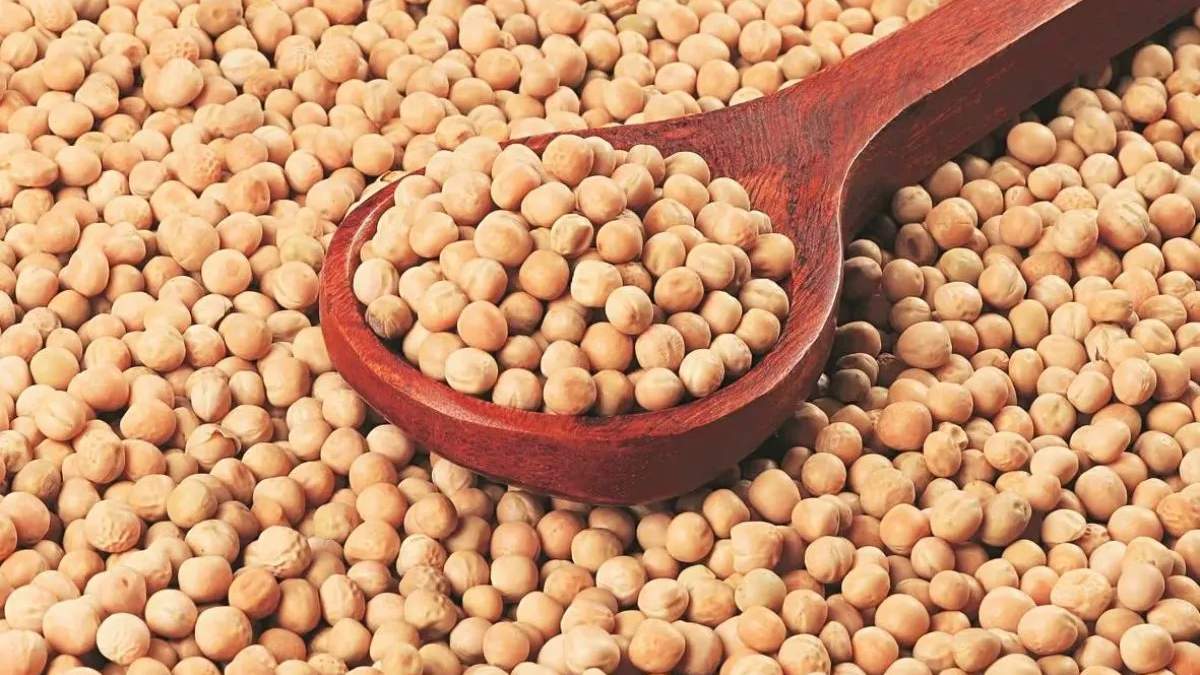 सरकार ने पीली मटर के लिए मुफ्त आयात नीति 3 महीने और उड़द के लिए 1 साल के लिए बढ़ाई