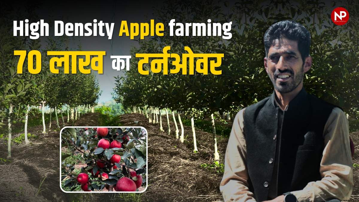 तकनीक से तरक्की: तकनीक ने दिया मुश्किलों का हल, अब सेब की खेती से कमा रहे लाखों रुपए