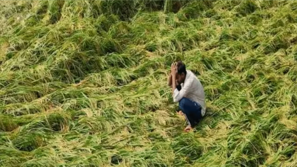 बेमौसम बारिश से उत्तर प्रदेश में फसलें बर्बाद, सीएम योगी ने जल्द रिपोर्ट तैयार करने के दिए आदेश
