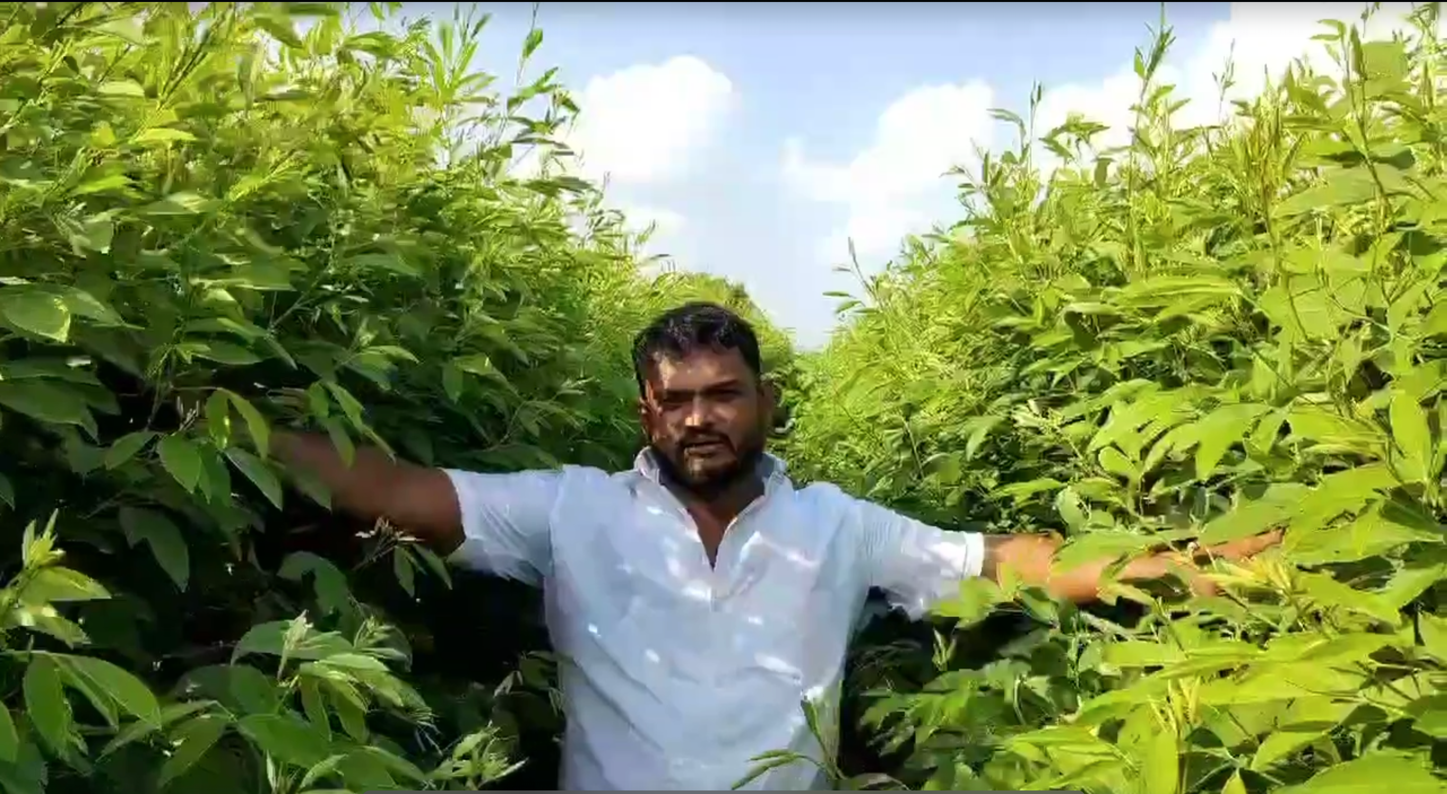 महाराष्ट्र के इस युवा किसान ने तुअर उत्पादन में बनाया नया रिकॉर्ड