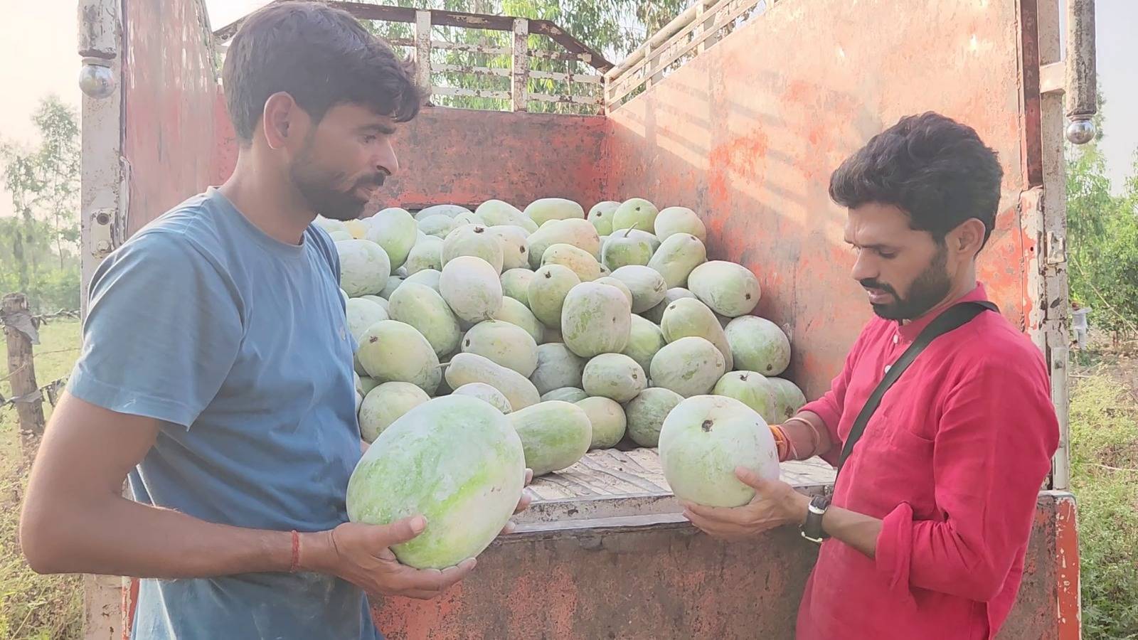 पेठा वाले कद्दू की खेती: खबहा की ये किस्में देंगी मुनाफा