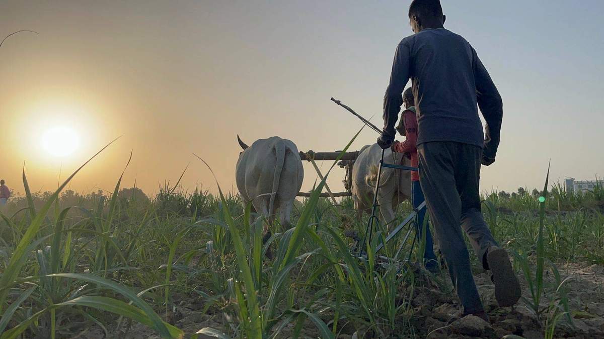मणिपुर में हिंसा प्रभावित किसानों को मिलेगा मुआवजा, राज्य कैबिनेट का फैसला