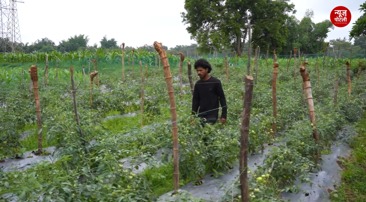  रेज्ड बेड, मल्चिंग और ड्रिप इरिगेशन जैसी तीन तकनीकों को अपनाकर किसान एक ही खेत से साल में तीन बार फसल ले रहे हैं।