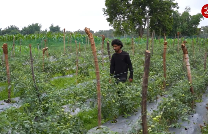रेज्ड बेड, मल्चिंग और ड्रिप इरिगेशन जैसी तीन तकनीकों को अपनाकर किसान एक ही खेत से साल में तीन बार फसल ले रहे हैं।