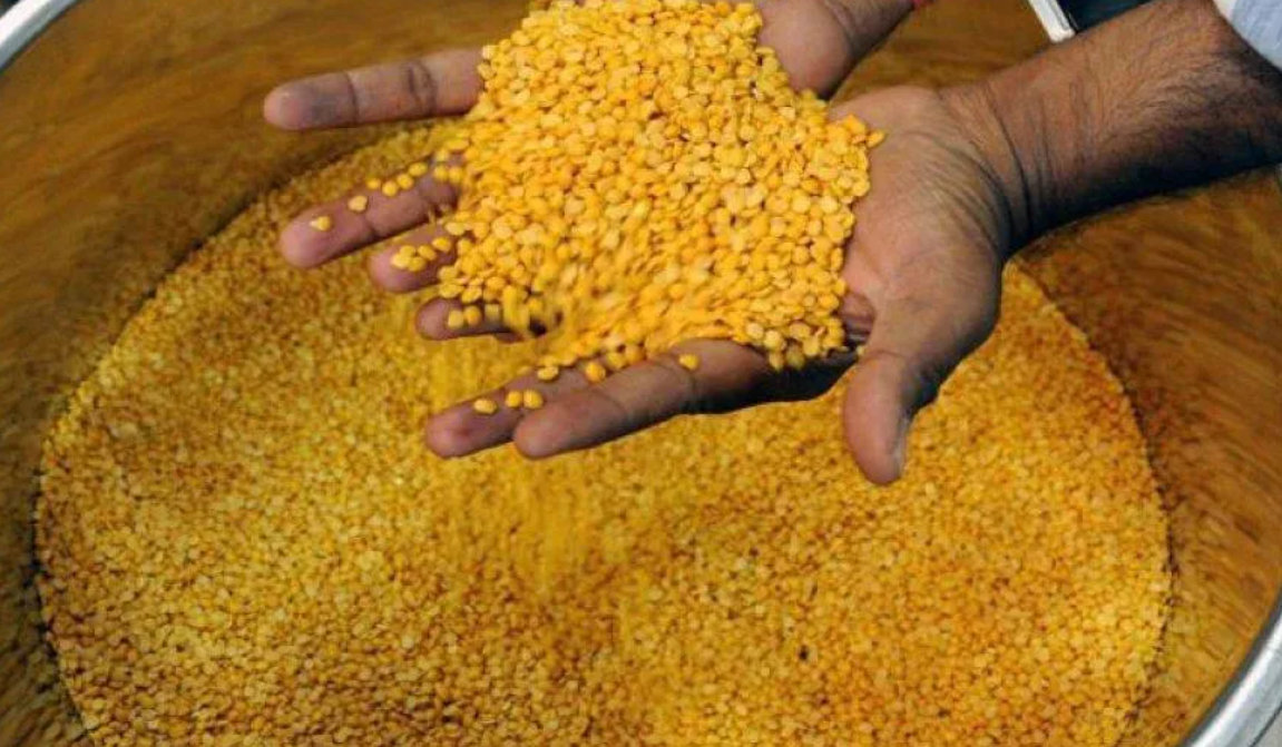 भारत में जल्द आएगी ब्राजील की तुअर दाल, इस साल 20-30 हजार टन आयात की उम्मीद