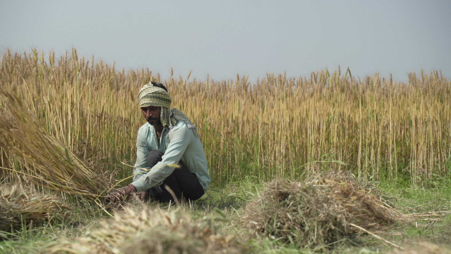 किसान भी पा सकते हैं 3 हजार रुपए मासिक पेंशन, बस खर्च करने होंगे ₹55 से ₹200, जानिए योजना की पूरी डीटेल
