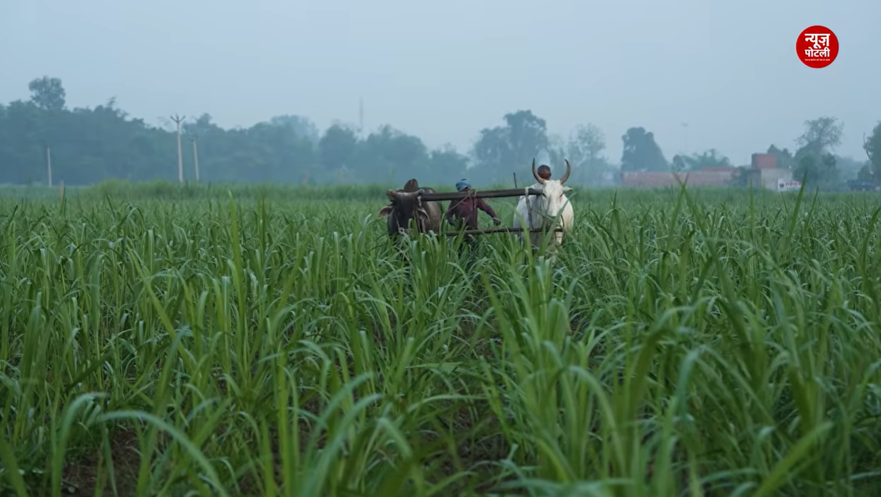 AgriStack के तहत 11 करोड़ Farmer ID बनाने के लक्ष्य में अब तक 10.28 करोड़ Farmer ID तैयार की जा चुकी हैं।
