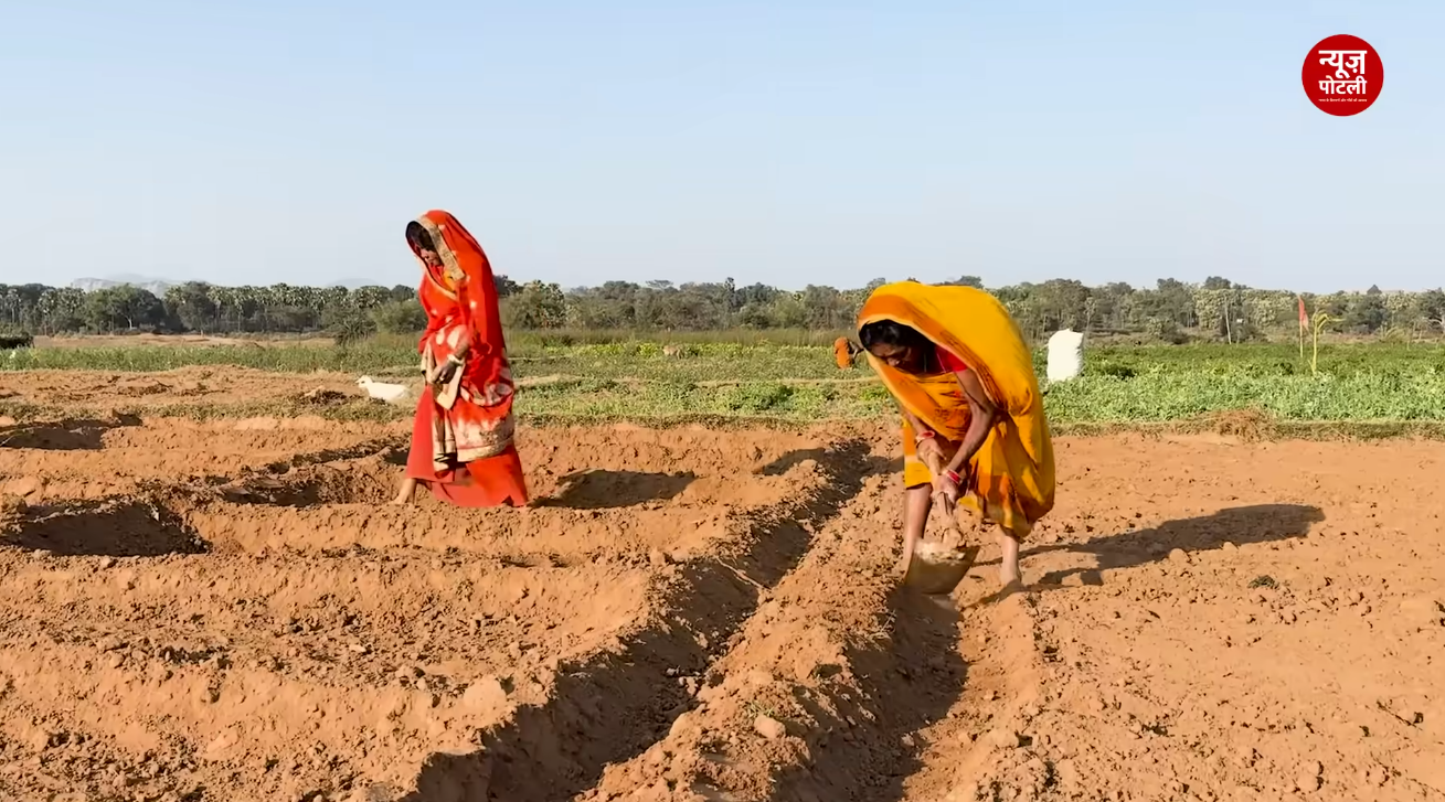 देश के कृषि कार्यबल में अब करीब 48 फीसदी महिलाएं हैं.