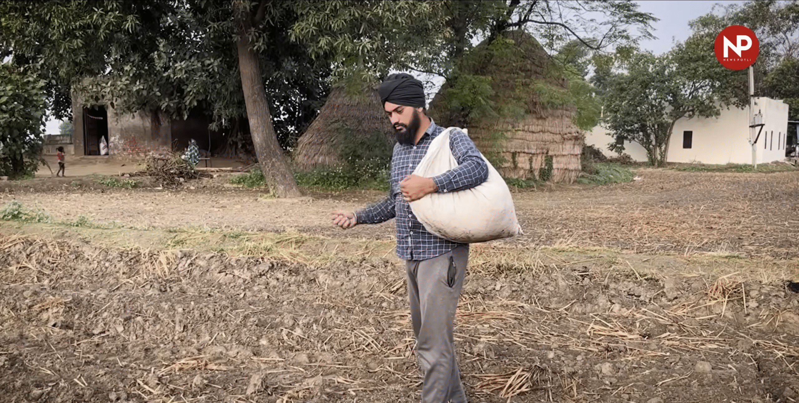 पंजाब में बाढ़ और बारिश से गेहूं की बुवाई पीछे, कृषि विभाग ने सुझाईं देर वाली किस्में