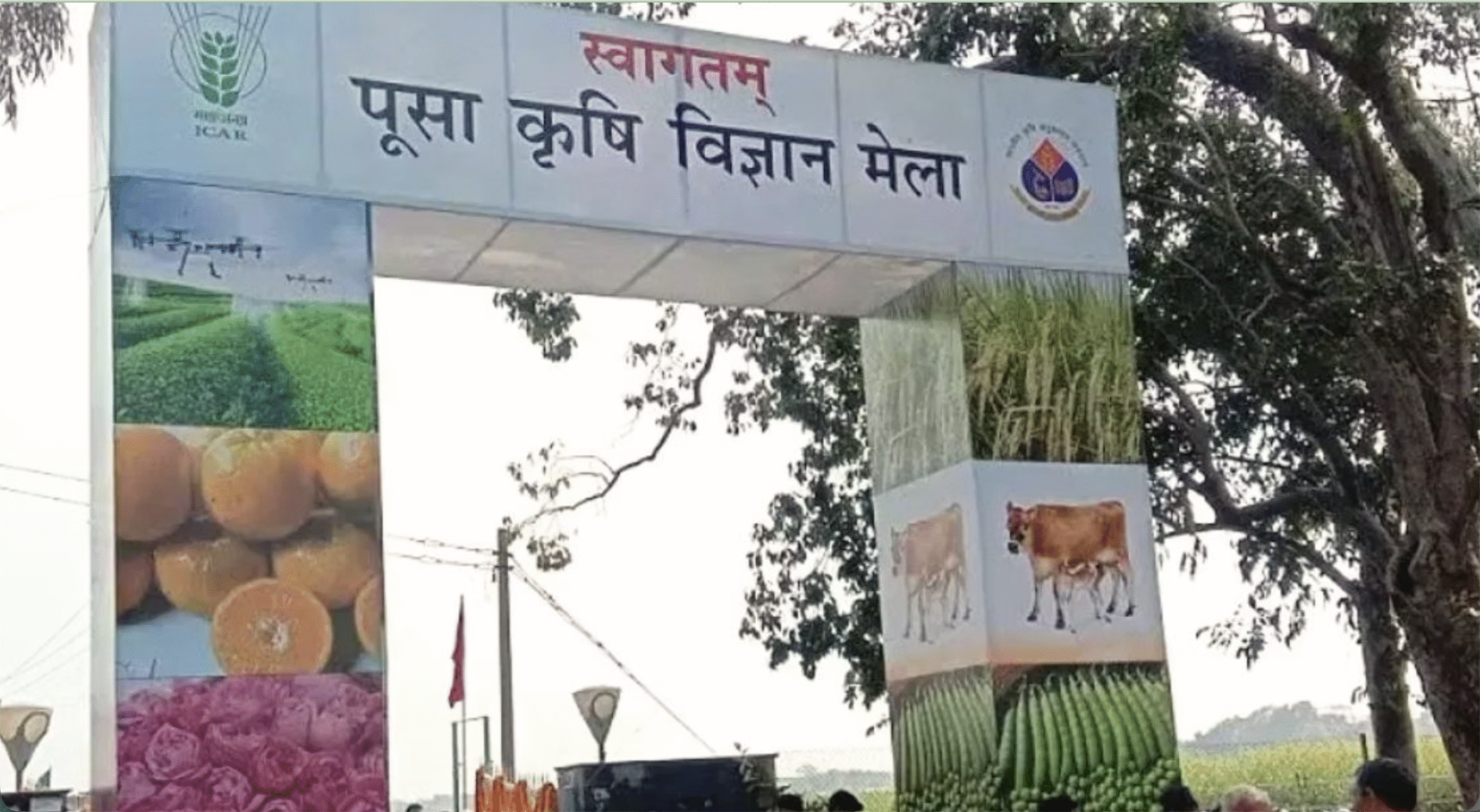 25–27 फरवरी को IARI में लगेगा पूसा कृषि विज्ञान मेला 2026, महिला किसानों पर विशेष फोकस