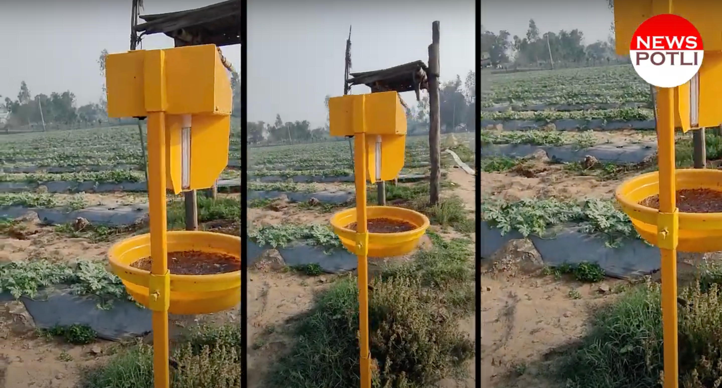 हरियाणा में होगी कीटनाशक मुक्त खेती, खेत में सोलर लाइट ट्रैप लगवाने पर सरकार दे रही 75% सब्सिडी