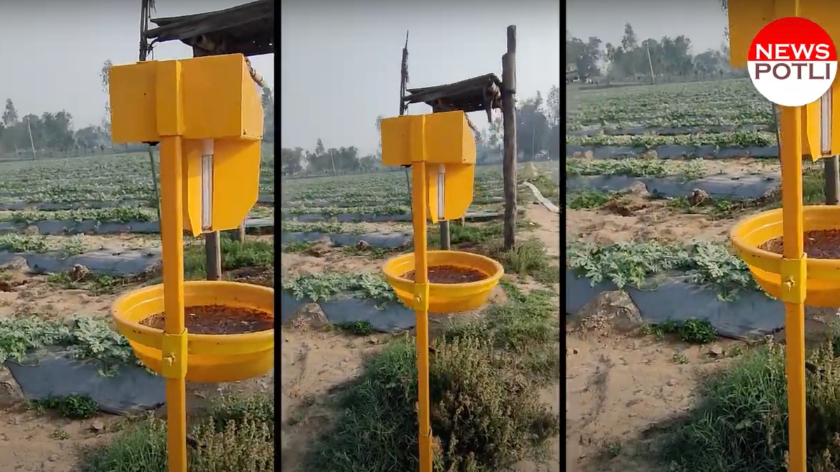 हरियाणा में होगी कीटनाशक मुक्त खेती, खेत में सोलर लाइट ट्रैप लगवाने पर सरकार दे रही 75% सब्सिडी