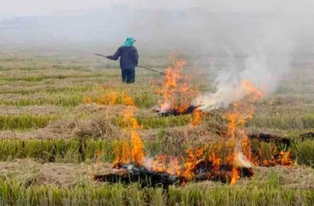 पंजाब में पराली जलाने पर होगी कड़ी कारवाई, राज्य सरकार ने नियुक्त किए 8 हजार से ज्यादा नोडल अधिकारी