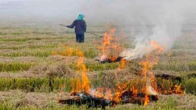 पंजाब में पराली जलाने पर होगी कड़ी कारवाई, राज्य सरकार ने नियुक्त किए 8 हजार से ज्यादा नोडल अधिकारी