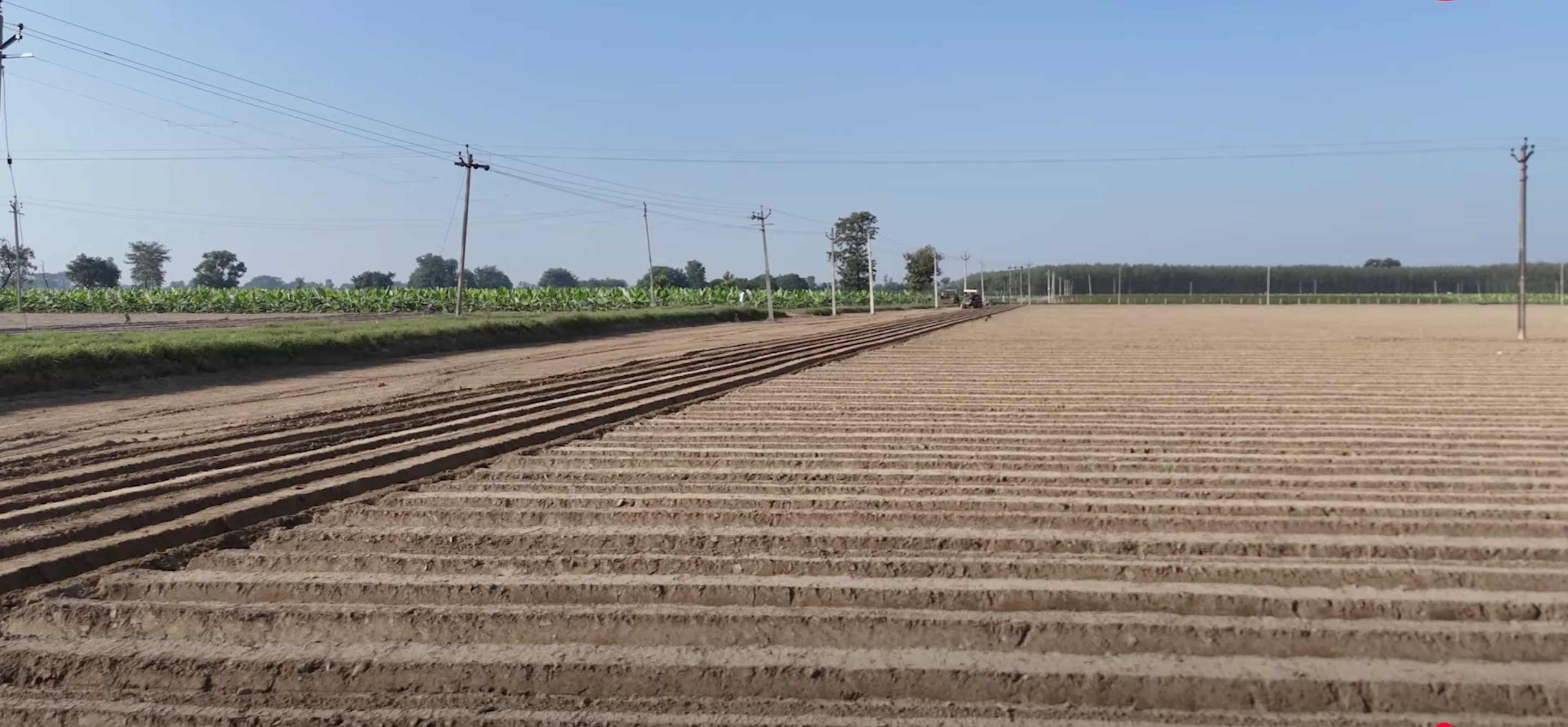 ICRISAT और ICAR ने शुरू कीं AI आधारित व्यक्तिगत कृषि सलाहकार सेवाएं