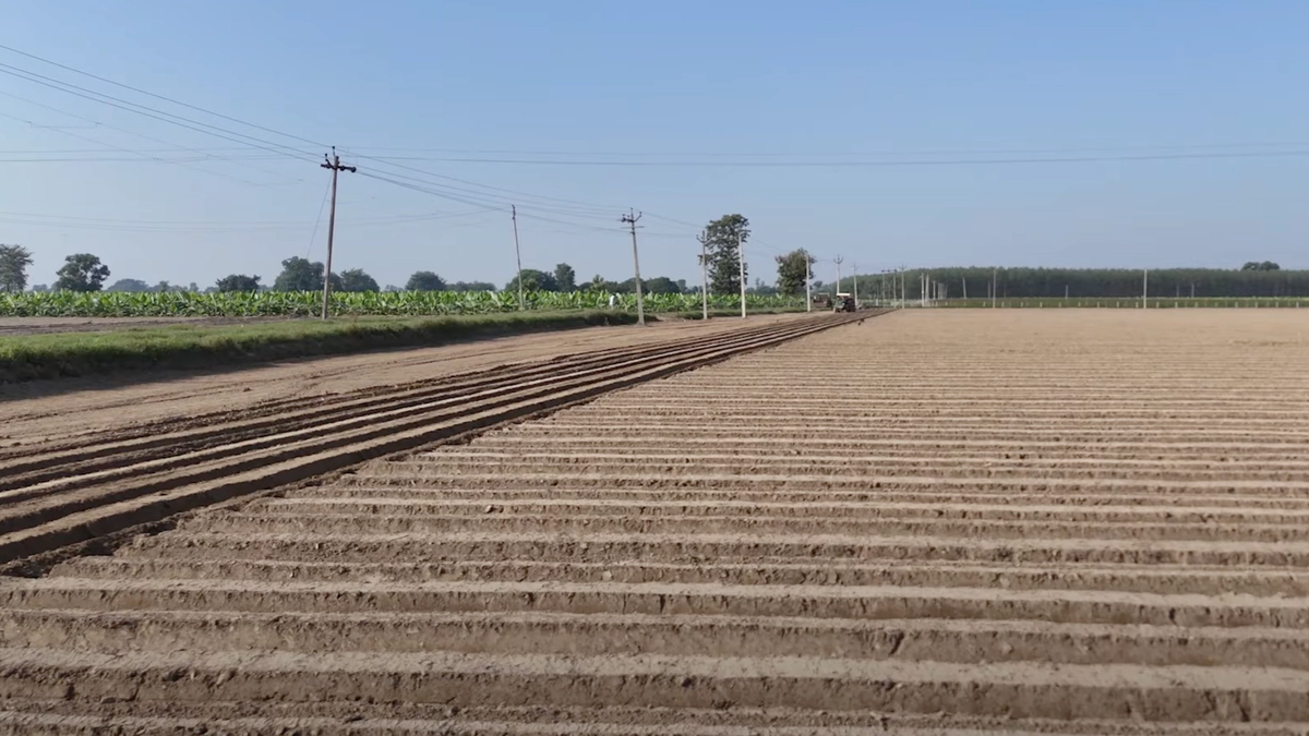 ICRISAT और ICAR ने शुरू कीं AI आधारित व्यक्तिगत कृषि सलाहकार सेवाएं