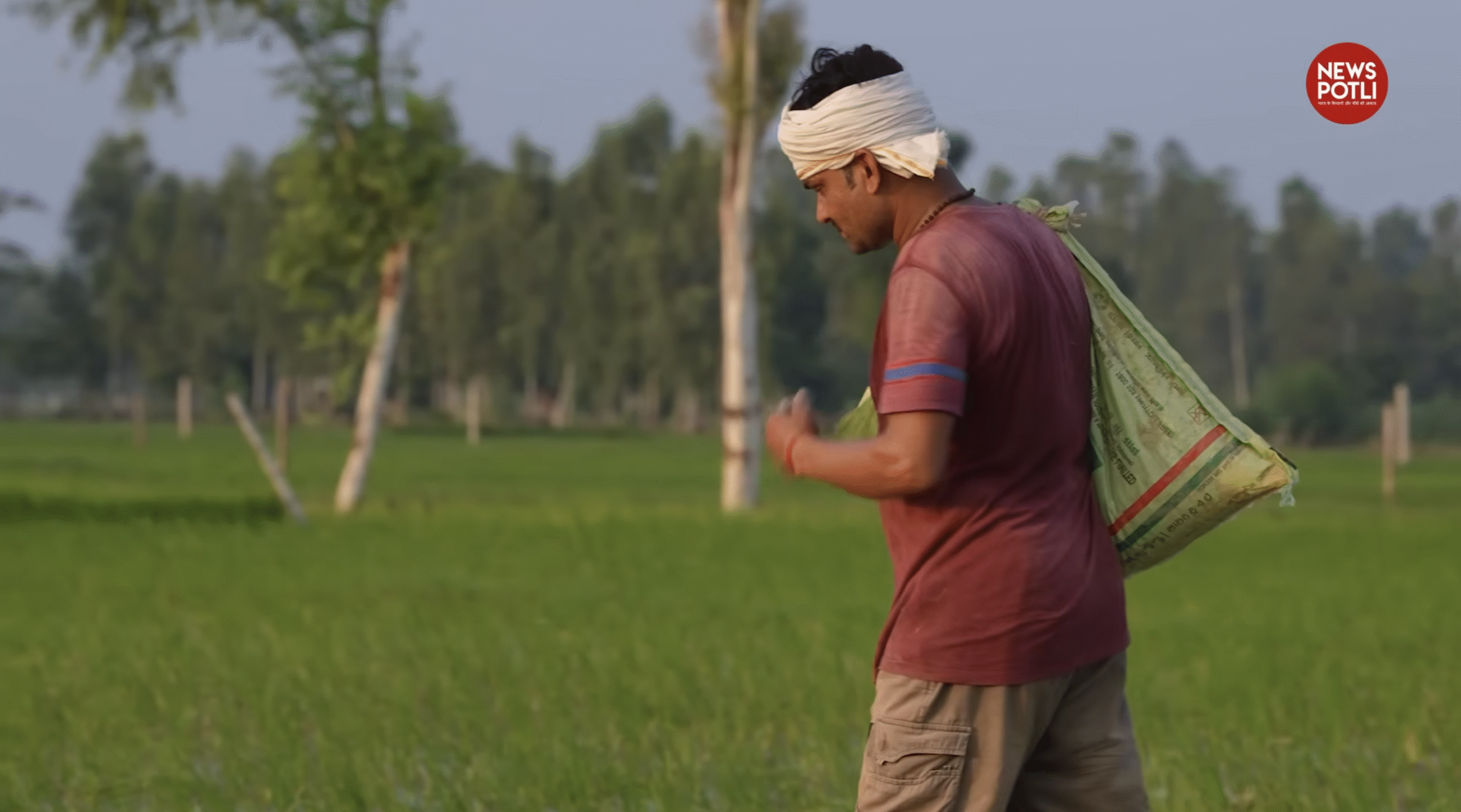 घरेलू उत्पादन घटा, यूरिया आयात दोगुने से ज्यादा बढ़ा