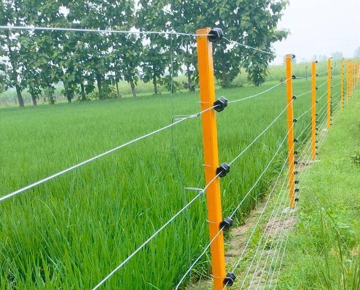 Solar fencing: उत्तर प्रदेश सरकार ने किसानों को छुट्टा पशुओं से छुटकारा दिलाने के लिए सोलर फेंसिंग पर 60-70% तक की सब्सिडी देने का किया है प्रावधान।