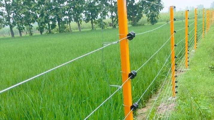 Solar fencing: उत्तर प्रदेश सरकार ने किसानों को छुट्टा पशुओं से छुटकारा दिलाने के लिए सोलर फेंसिंग पर 60-70% तक की सब्सिडी देने का किया है प्रावधान।