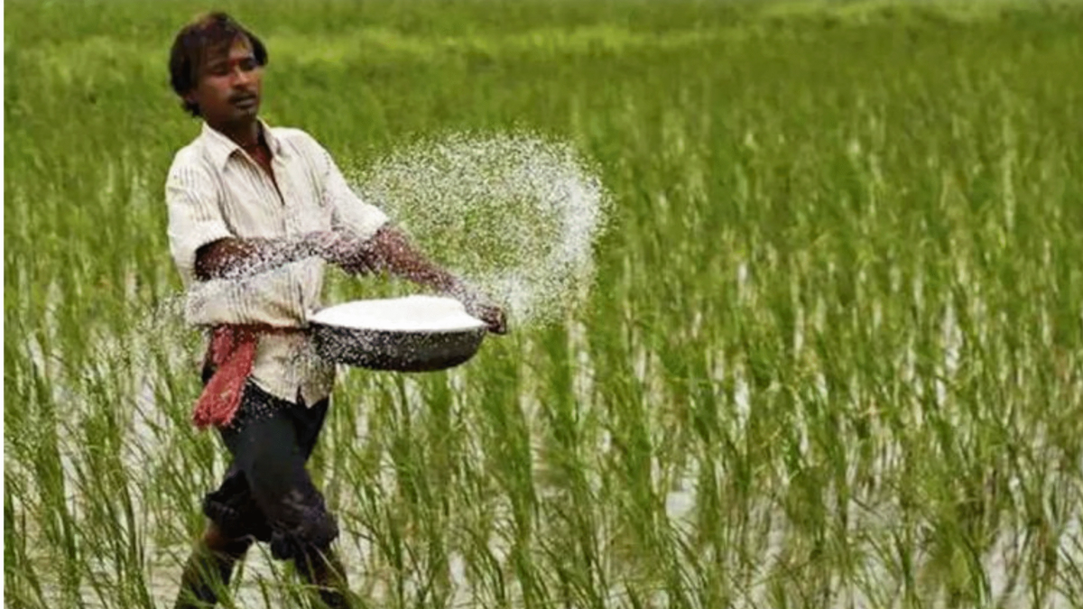 भारत में यूरिया नीति पर बड़ी समीक्षा, केंद्र सरकार ने संसद में कही ये बात