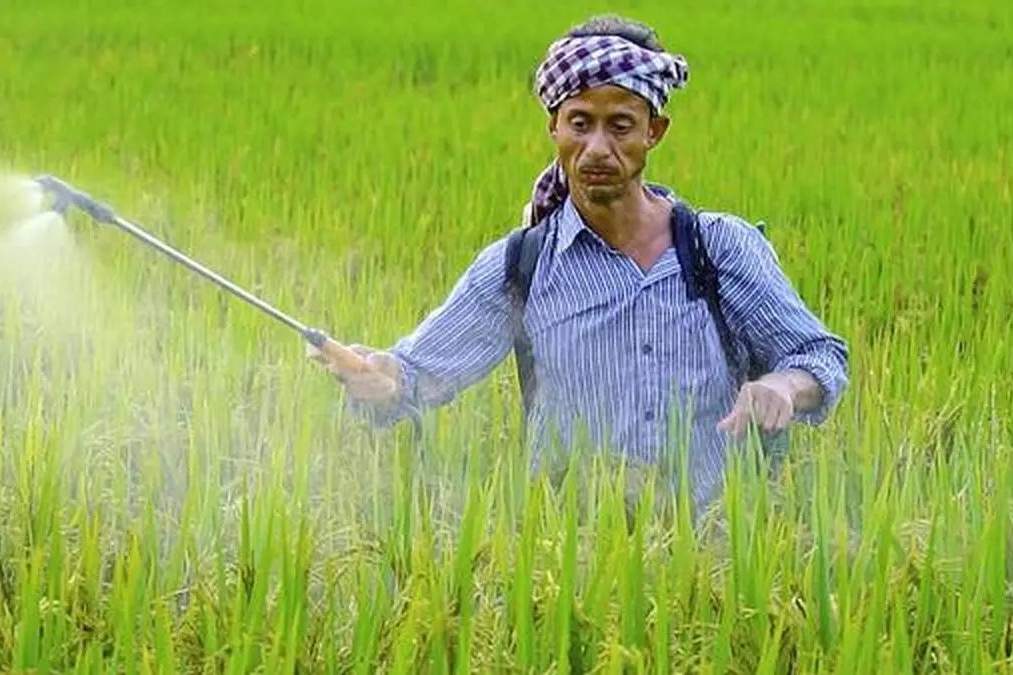 urea, fertilizer stock, sales