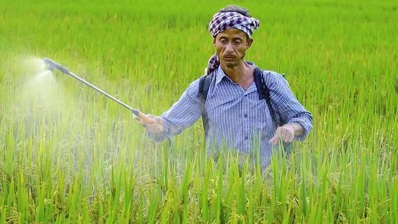 urea, fertilizer stock, sales
