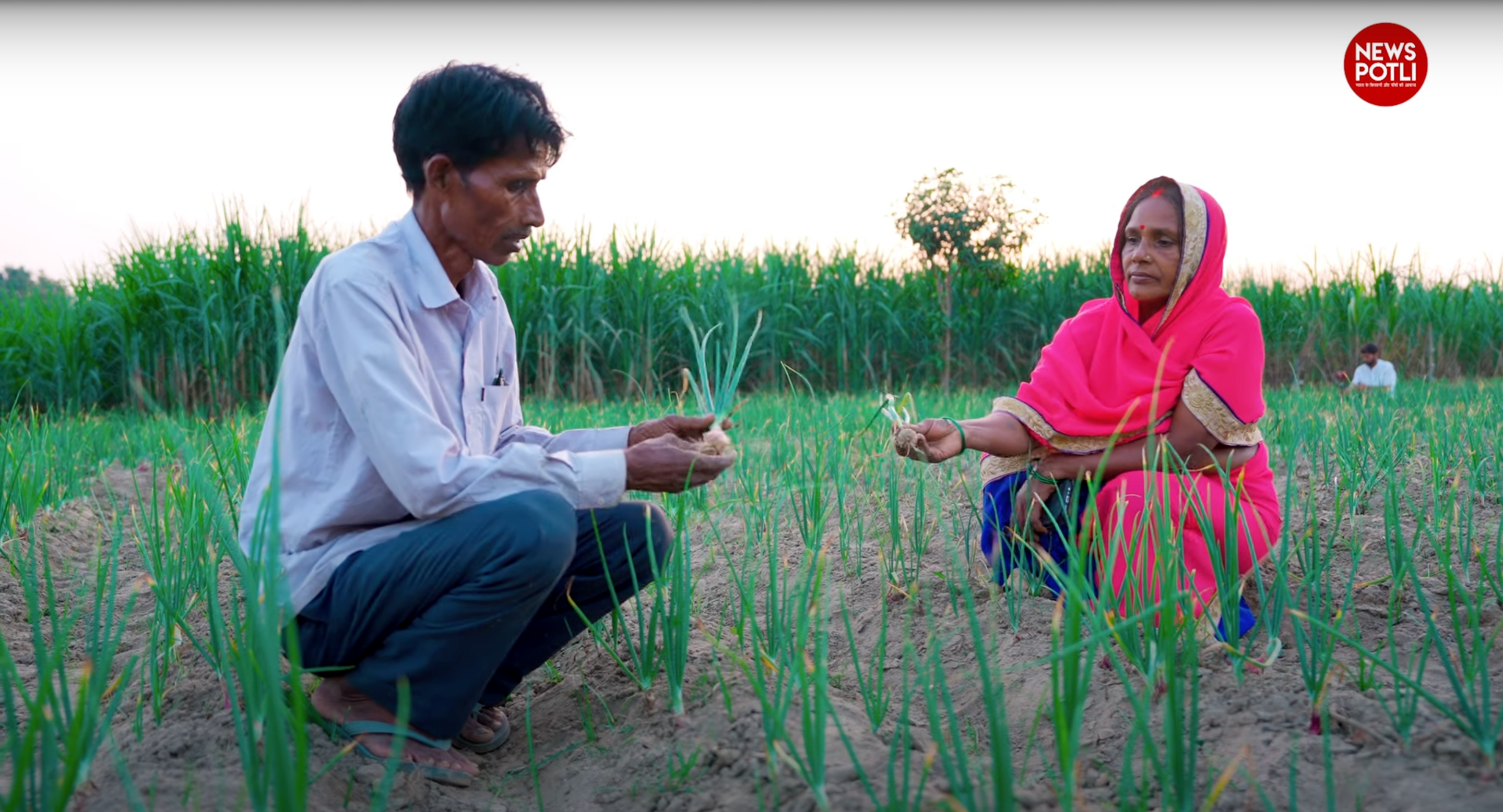 छोटी जोत वाले किसानों के लिए मिसाल हैं यूपी के किसान राम प्रवेश मौर्य…जानिए उनकी खेती का तरीक़ा