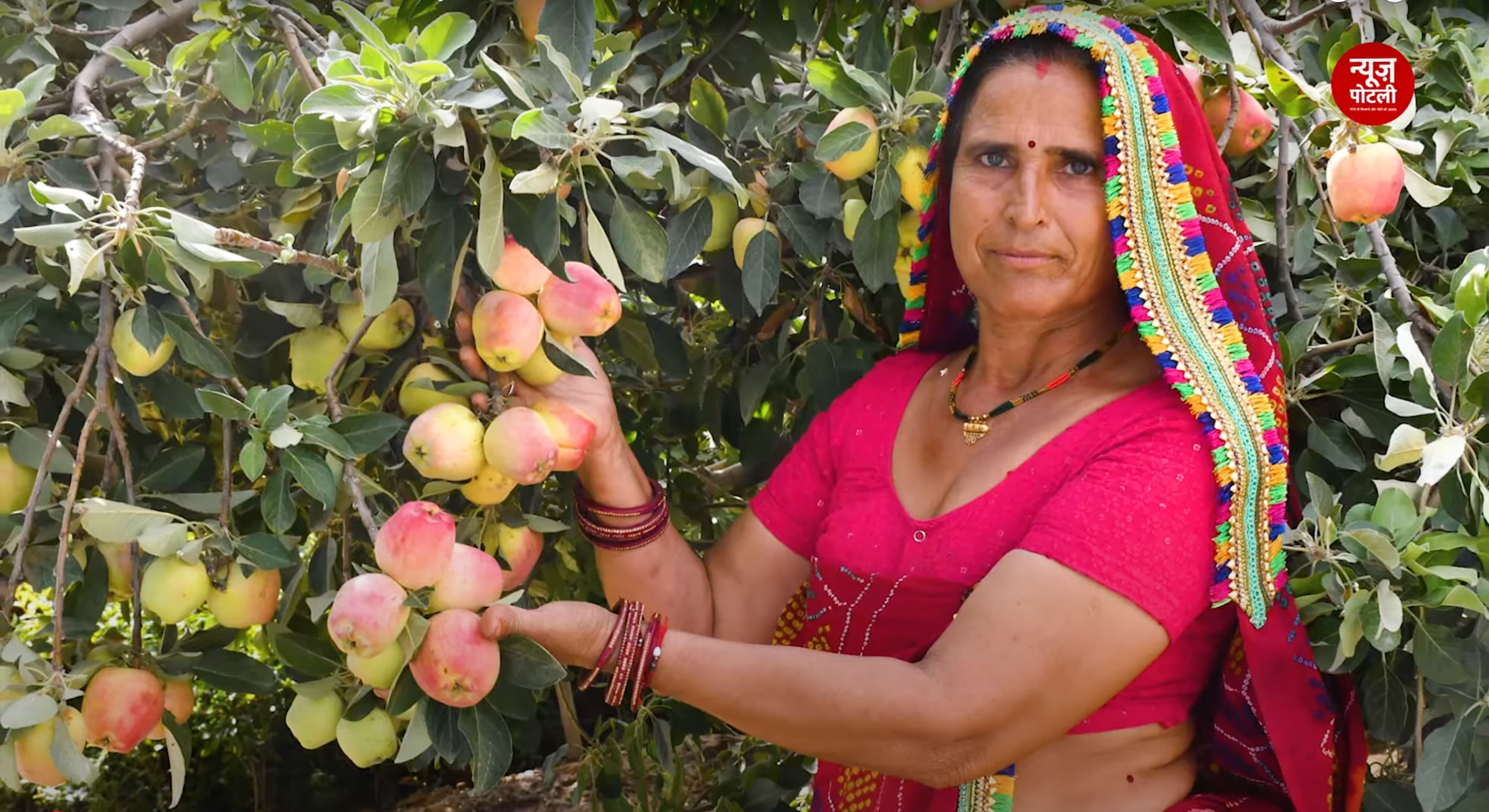 मात्र पाँच बीघे में Horticulture से सालाना 30 से 35 लाख की कमाई करती हैं राजस्थान की संतोष