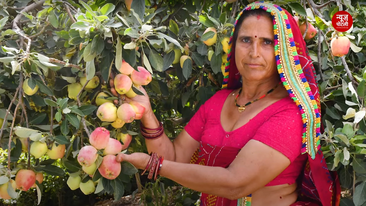 मात्र पाँच बीघे में Horticulture से सालाना 30 से 35 लाख की कमाई करती हैं राजस्थान की संतोष