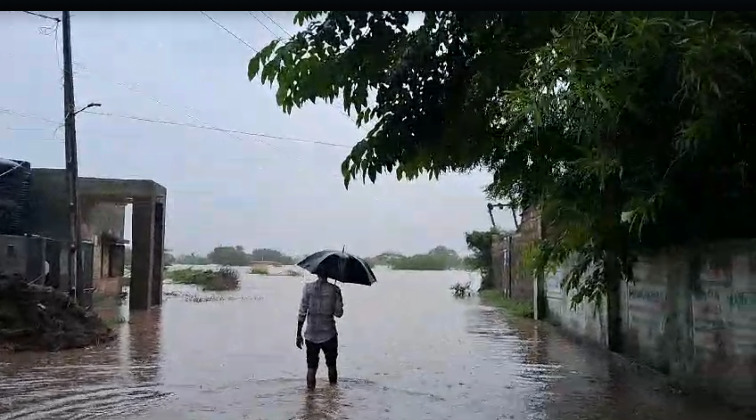गुजरात के जूनागढ़ समेत कई इलाकों में बाढ़, IMD ने दी चेतावनी