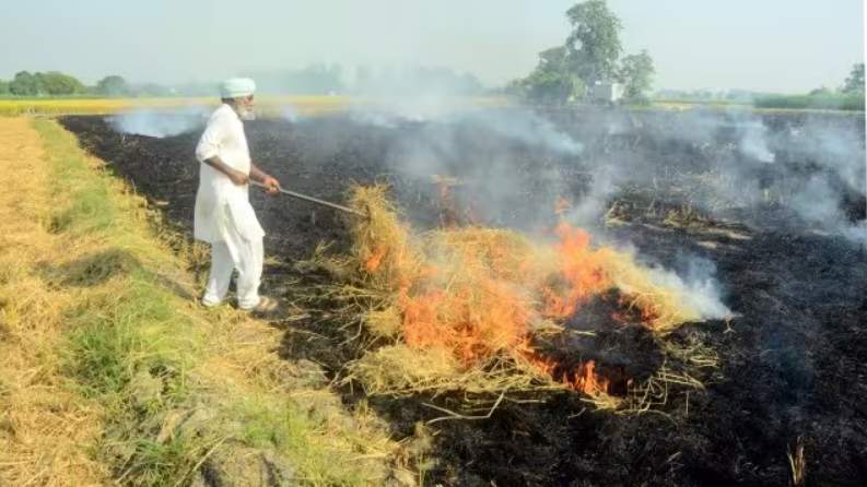 किसानों को पराली से निपटने के लिये जारी हुए 500 करोड़, क्या राज्य हो पाएगा पराली की समस्या से मुक्त