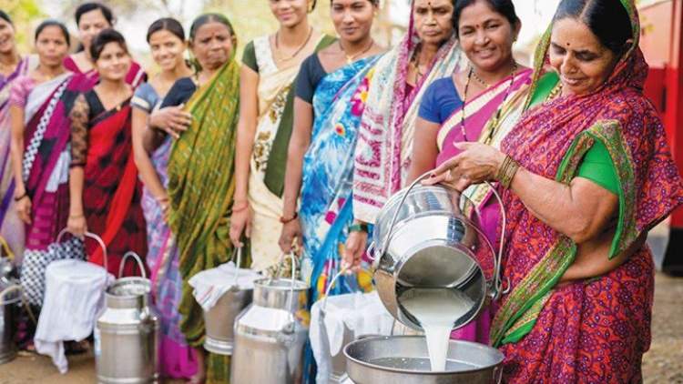 डेयरी फार्मिंग में लगभग 70% कार्यबल महिलाएं हैं, संसद में सरकार का बयान