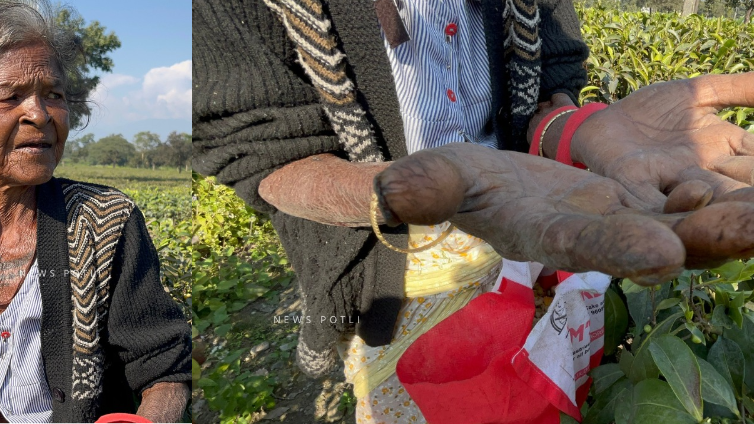 आपकी चाय में रंगत लाने के लिए इन्होंने कितना कुछ खो दिया